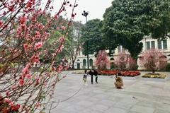 Peaceful Hanoi on the first morning of Tet