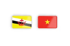 Vietnam, Brunei deepen comprehensive partnership