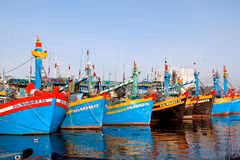 Lam Dong steps up crackdown on IUU fishing