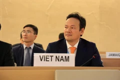 Vietnam supports disarmament, non-proliferation of nuclear weapons: Ambassador