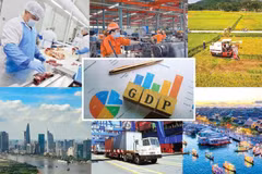 Vietnam’s economy sustains growth amid global volatility