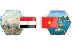 Vietnam, Egypt upgrade relations to comprehensive partnership