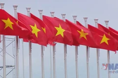 Vietnamese war veterans share joy at National Achievements Exhibition