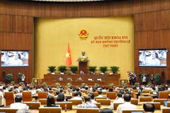 Criteria on APEC 2027 projects should be made public: lawmakers