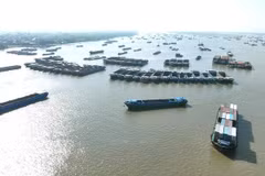 Vietnam’s Mekong Delta province promotes border trade with Cambodia