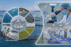 Vietnam officially launches national agricultural traceability system