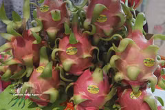 Vietnamese farm produce strengthens foothold in China