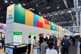At the Vietnamese pavilion (Photo: MOIT)