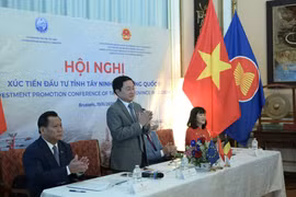 At the investment promotion conference in Belgium on June 19 (Photo: VNA)