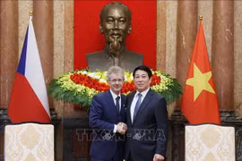 Vietnamese State President Luong Cuong (right) and Czech Republic's Senate President Milos Vystrcil (Photo: VNA)