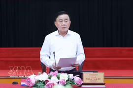 Politburo member and Permanent member of the Party Central Committee’s Secretariat Tran Cam Tu speaks at the conference. (Photo: VNA)