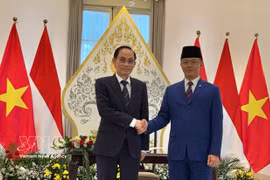 Vietnamese Minister of Foreign Affairs Le Hoai Trung (left) and his Indonesian counterpart Sugiono (Photo: VNA)