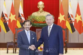 Party General Secretary To Lam (right) meets Sultan of Brunei Haji Hassanal Bolkiah in Hanoi on November 30, 2025. (Photo: VNA)