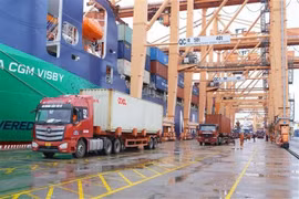 Tan Vu Port in the northern port city of Hai Phong. (Photo: VNA)