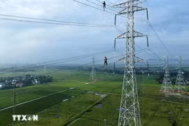 Indonesia targets an additional electricity capacity of more than 2,000 MW by the end of 2025. (Photo: VNA)