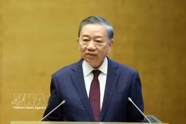 General Secretary of the Communist Party of Vietnam (CPV) Central Commitee and President To Lam speaks at the conference. (Photo: VNA)