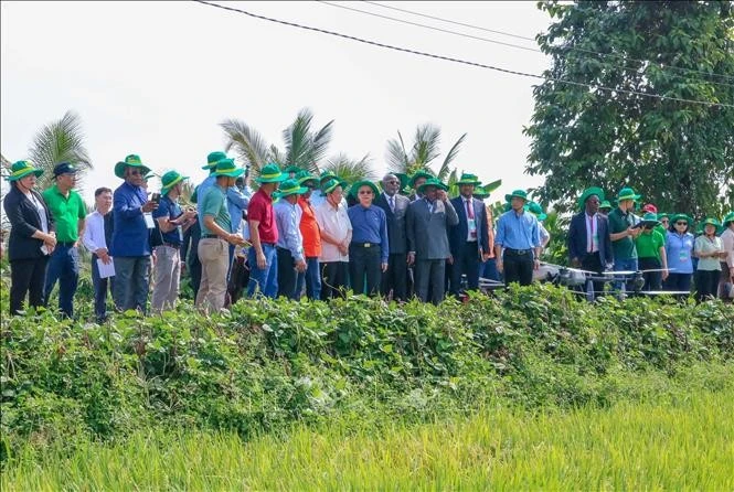 Delegates visit New Green Farm, Thot Not district, Can Tho (Photo: VNA)