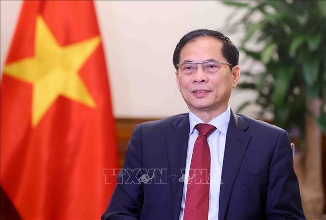 Vietnamese Deputy Prime Minister and Minister of Foreign Affairs Bui Thanh Son. (Photo: VNA)