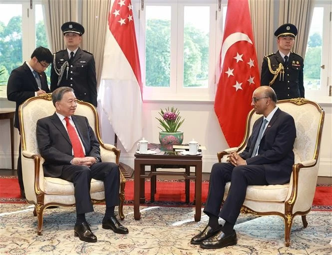 General Secretary of the Communist Party of Vietnam Central Committee To Lam (left) meets with Singaporean President Tharman Shanmugaratnam on March 12. (Photo: VNA)