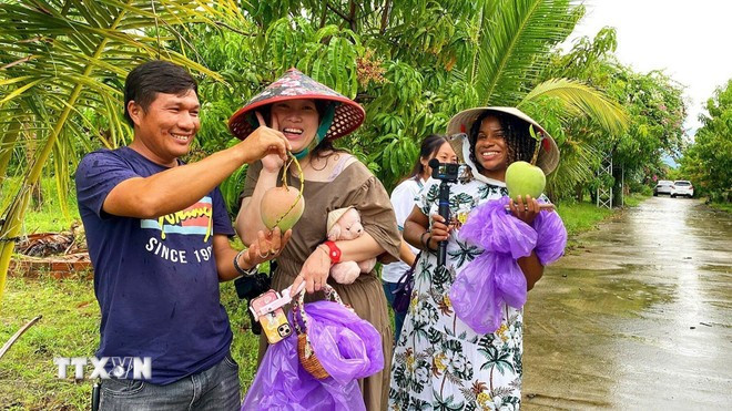 Visitors enjoy hands-on mango picking at orchards in Cam Lam commune, Khanh Hoa province. (Photo: VNA)