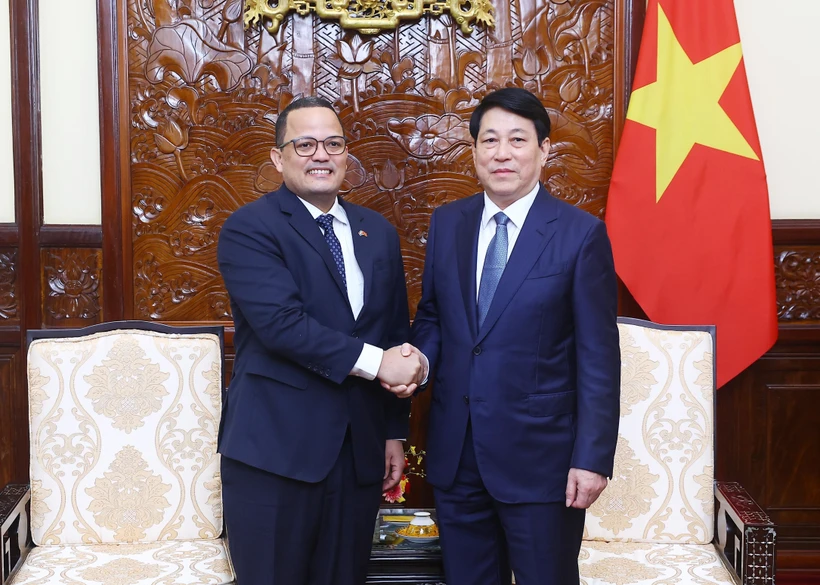 State President Luong Cuong (R) receives out-going Ambassador of the Dominican Republic to Vietnam Jaime Francisco Rodriguez. (Photo: VNA)