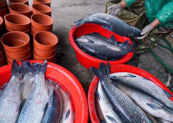 The primary ingredient is black carp, which must weigh at least 5 kg, have a long body, and be raised for over three years to meet the standard. (Photo: VNA)