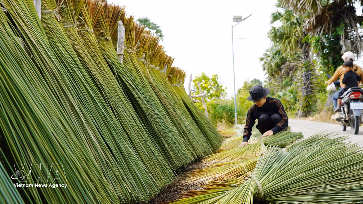 Mekong Delta residents transform bulrush grass into handicrafts