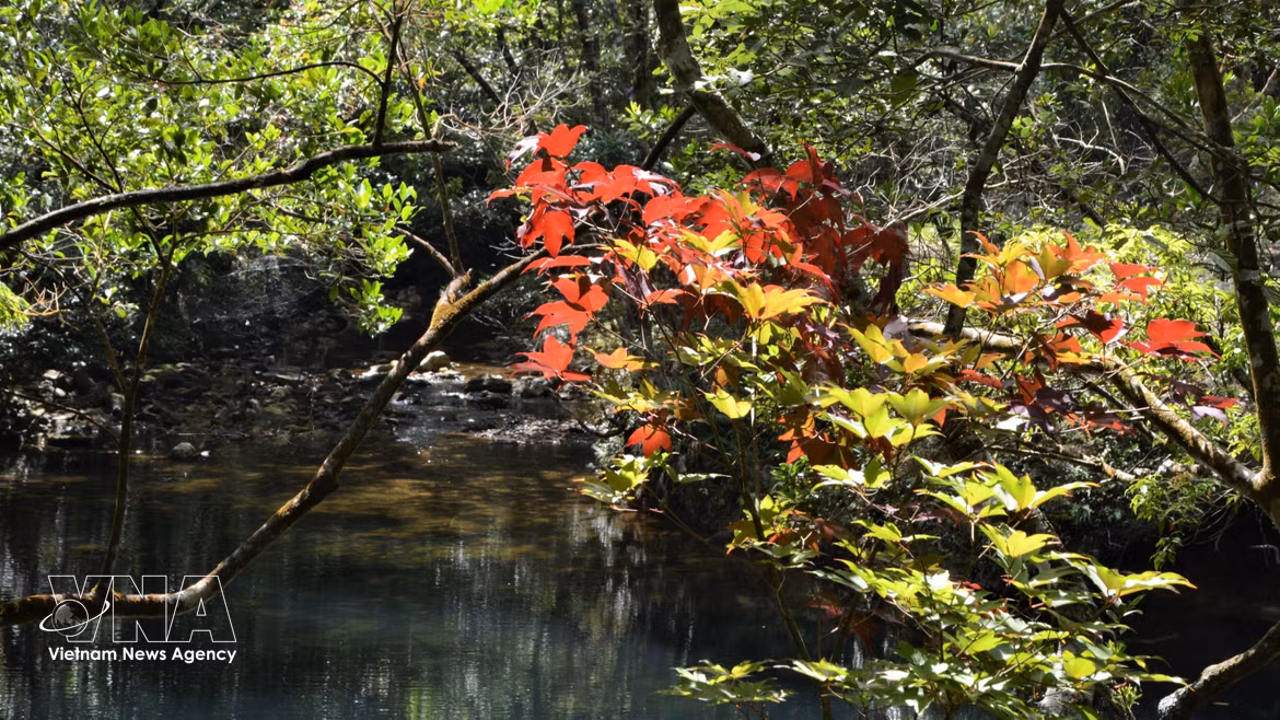 Bach Ma National Park links conservation with ecotourism development