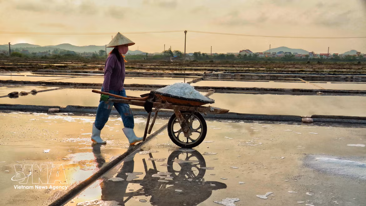 Salt makers endure harsh sun to preserve traditional craft 