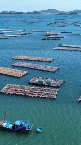 Mariculture – new growth driver for Vietnam’s ocean economy (Photo: VNA)