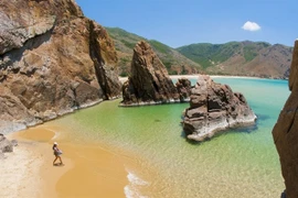 Ky Co beach is currently one of the "hottest" tourist destinations, chosen by many visitors to explore during their holidays with family and friends. (Photo: vietnamtourism.gov.vn)