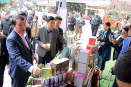 Leaders of Lam Dong province visit a booth at the wine, tea, coffee and specialties street programme. (Photo: VNA)