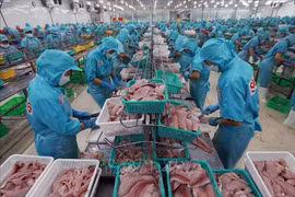 Workers process aquatic products for export. (Photo: VNA)