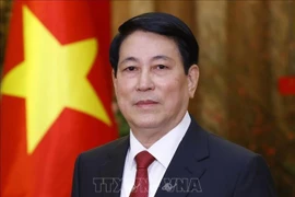 Vietnamese President Luong Cuong (Photo: VNA)