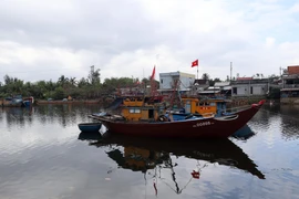 Da Nang is working to restructure its fishing fleet in efforts to promote to legal and sustainable fisheries development. (Photo: VNA)