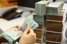 The daily reference exchange rate is set at 25,566 VND/USD on August 13. (Photo: VNA)