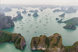 An aerial view of Ha Long Bay, a tourist magnet in Quang Ninh province (Photo: VNA)