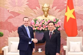 Vice Chairman of the National Assembly Nguyen Khac Dinh (R) and Chairman of the Brazil – Vietnam Parliamentary Friendship Group Marcio Honaiser in Hanoi on August 18 (Photo: VNA)