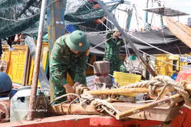 Border guards assist fishermen to gear up for storm Maysak. (Photo: VNA)