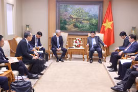 The meeting between Deputy Prime Minister Nguyen Chi Dung (right) and Honna Hitoshi, Representative Director and President of Japan’s Erex Corporation, on July 4, 2025. (Photo: VNA)