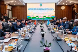 The meeting between Minister of Agriculture and Rural Development Le Minh Hoan and a high-ranking delegation of FAO (Photo courtesy of the MARD)