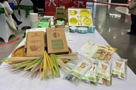 Some environmentally friendly products showcased at the Vietnam Circular Economy Forum 2024 (Photo: VietnamPlus)