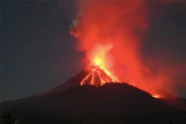 Mount Lewotobi Laki-Laki, which stands 1,703 meters tall, has erupted multiple times in recent months. (Photo: Xinhua/VNA) 