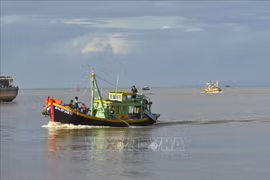 A fishing boat returns to the Phan Thiet fishery port in Binh Thuan province. (Illustrative photo: VNA)