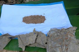 Some items found by Team K53 (Photo published by VNA)