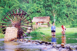 Residents in the buffer zone of the UNESCO-recognised Western Nghe An Biosphere Reserve (Photo: VNA)