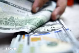 Remittance inflows to Ho Chi Minh City reached 7.97 billion USD in the first nine months of 2025, up 6.25% year-on-year. (Illustrative photo: Xinhua/VNA)