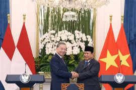 General Secretary of the CPV Central Committee To Lam (left) and President of Indonesia and Chairman of the Gerindra Party Prabowo Subianto at the press meeting in Jakarta on March 10 (Photo: VNA)