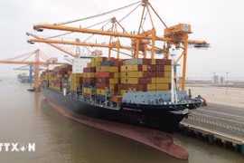 Experts are expected to analyse opportunities for boosting exports and investment cooperation between Vietnam and South American countries at the coming seminar. (Illustrative photo: VNA)