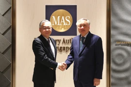 Permanent Deputy Prime Minister Nguyen Hoa Binh (right) meets with Singaporean Deputy Prime Minister Gan Kim Yong, who is also Minister for Trade and Industry and Chairman of the Monetary Authority of Singapore, on January 12. (Photo published by VNA)